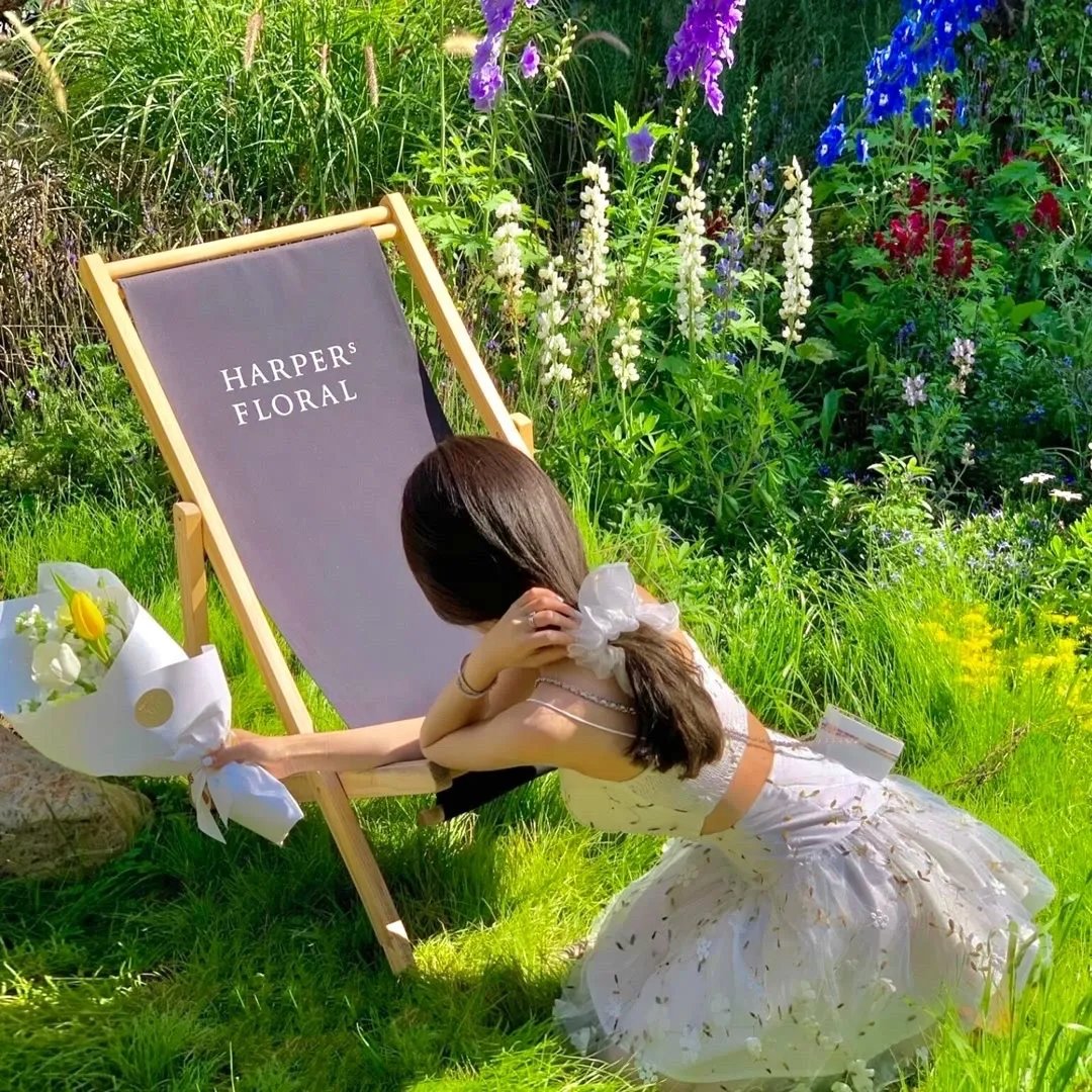 独家头条:初露锋芒